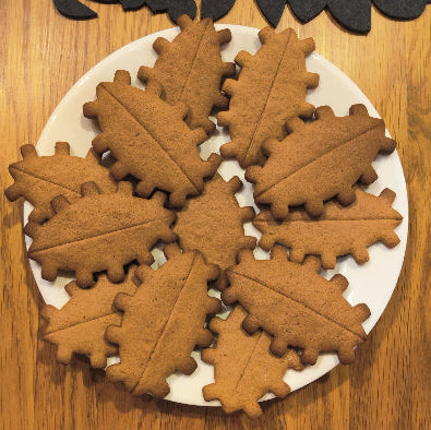 Image of Piparipiparimuotti - Vittujen Kevät